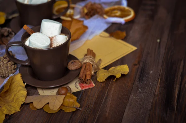 Tasse heiße Schokolade, Kaffee mit Marshmallow, — Stockfoto