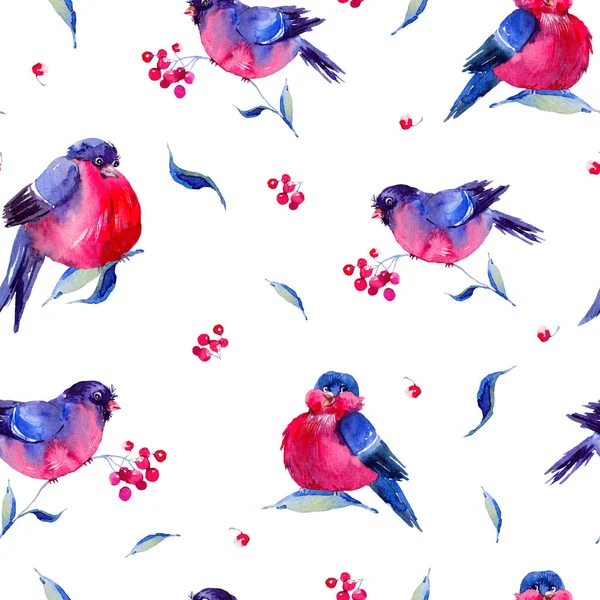 Watercolor seamless pattern with bullfinches — Stock Photo, Image