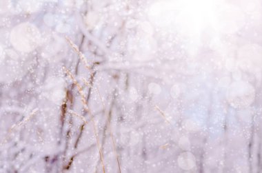 Kış Doğa kar magic manzara