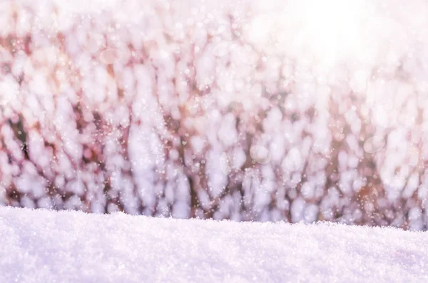 Cozy winter nature scene with snow — Stock Photo, Image