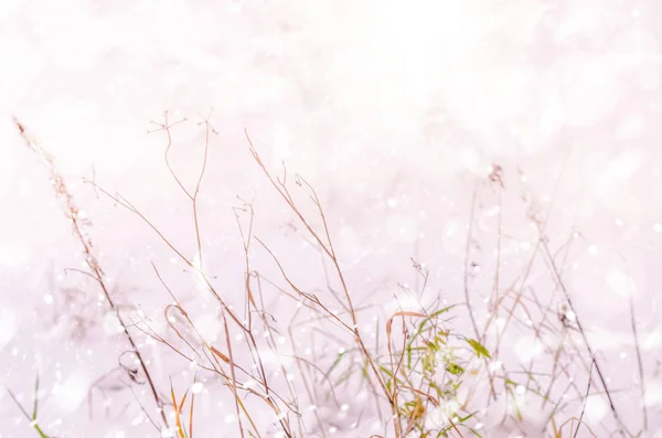Волшебный зимний пейзаж — стоковое фото