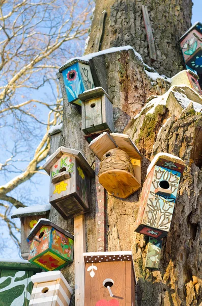 Hölzerne alte Vogelhäuschen auf altem, trockenem Baum — Stockfoto