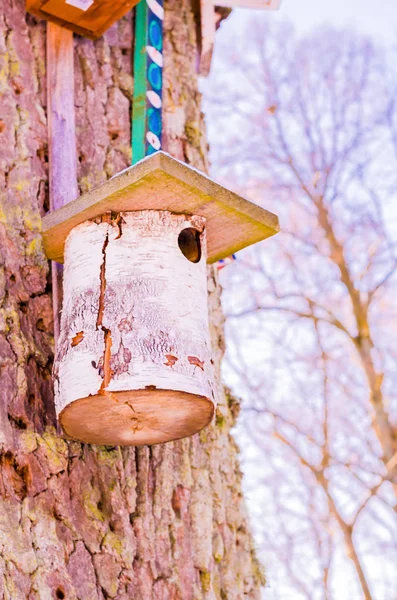 Hölzerne alte Vogelhäuschen auf altem, trockenem Baum — Stockfoto