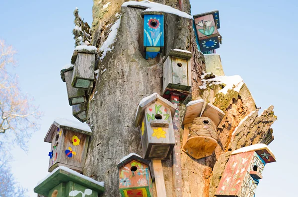 Hölzerne alte Vogelhäuschen auf altem, trockenem Baum — Stockfoto