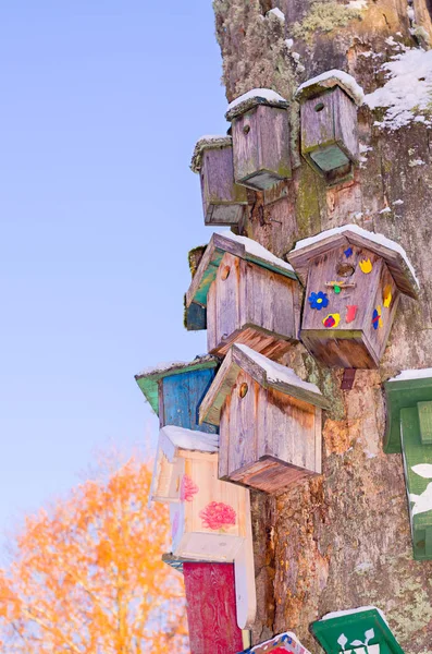 Hölzerne alte Vogelhäuschen auf altem, trockenem Baum — Stockfoto