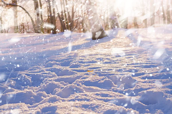 Winter nature snow magic landscape — Stock Photo, Image