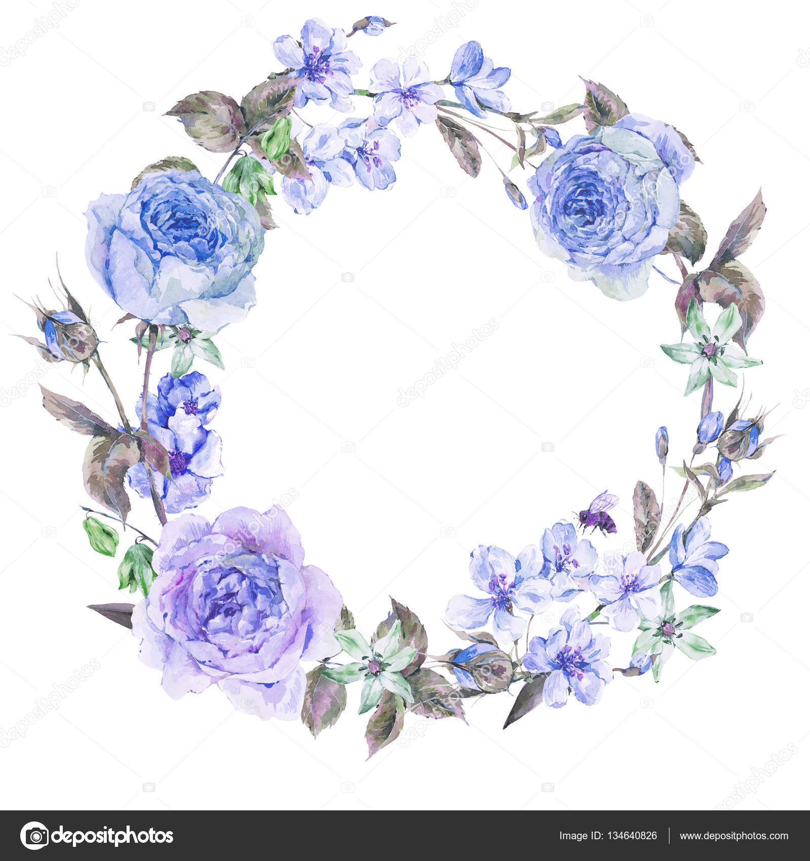 Coroa redonda de primavera aquarela com rosas azuis Ilustração de ©Depiano  #134640826, image size:1600x1700