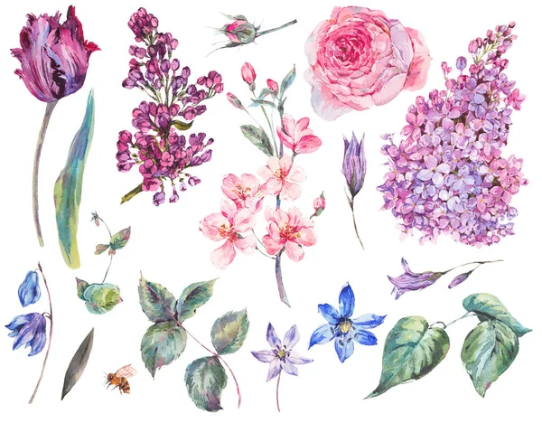Conjunto floral primavera de rosas rosa aquarela vintage, folhas, bloo — Fotografia de Stock