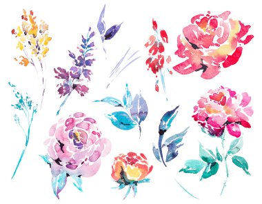 Suluboya çiçek izole tasarım öğeleri