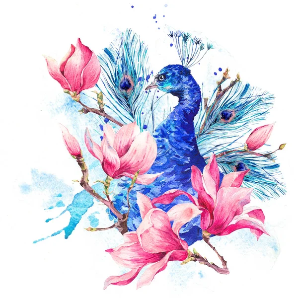 Акварельный павлин с цветами Магнолия — стоковое фото