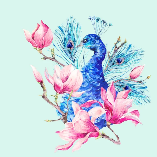 マグノリアの花の水彩画の孔雀 — ストック写真