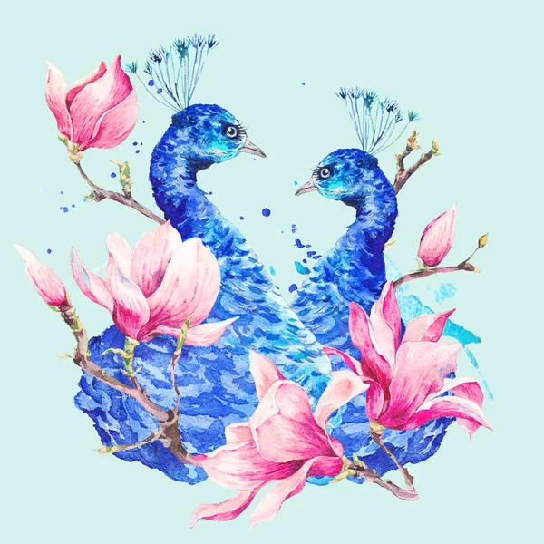 マグノリアの花の水彩画の孔雀 — ストック写真