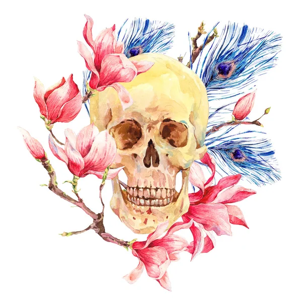水彩の人間の頭蓋骨とピンクの花モクレン — ストック写真