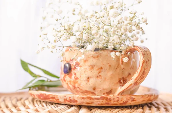 Våren naturliga bakgrund med vita blommor — Stockfoto