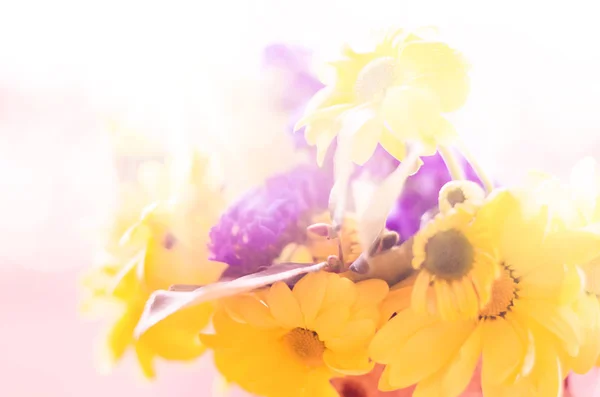 Våren naturliga bakgrund med gula blommor — Stockfoto