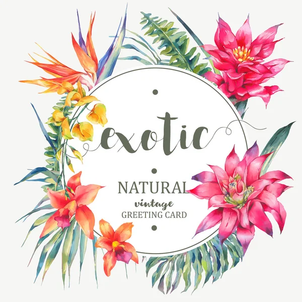 Cadre rond tropical floral vintage vectoriel — Image vectorielle