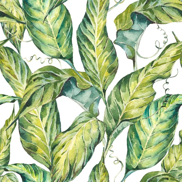 Natural leaves exotic watercolor seamless pattern — Stock Photo, Image