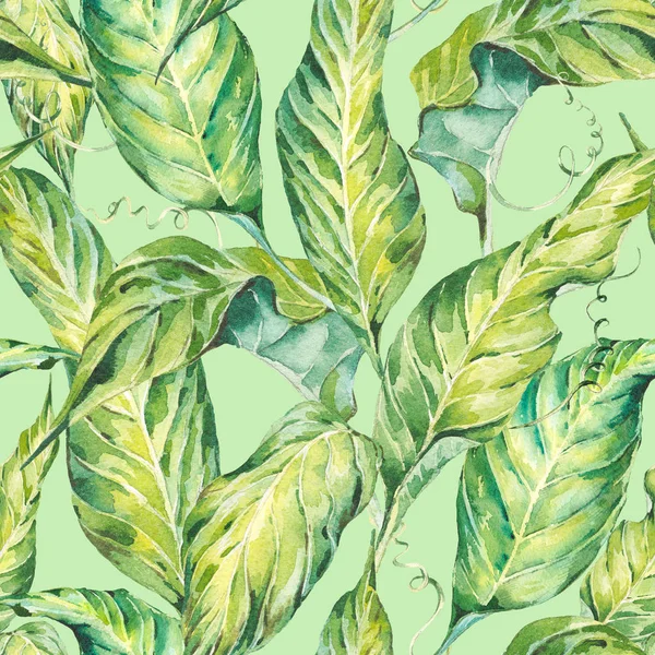 Natural leaves exotic watercolor seamless pattern — Stock Photo, Image