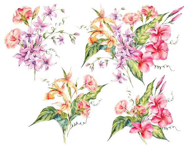 Set van aquarel tropische vintage bloemen boeket van exotische stroom — Stockfoto