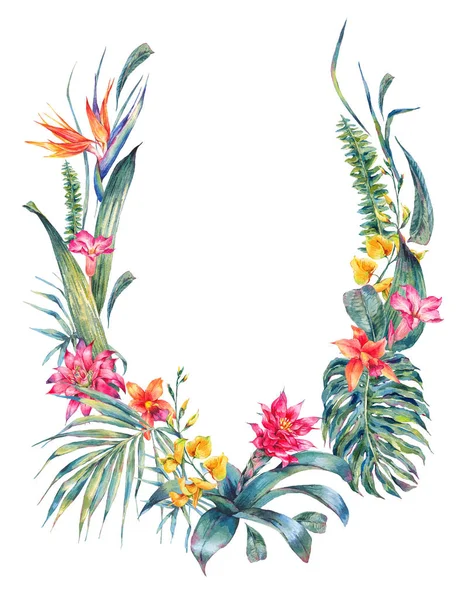 Natural summer exotic watercolor wreath — Stock Photo, Image