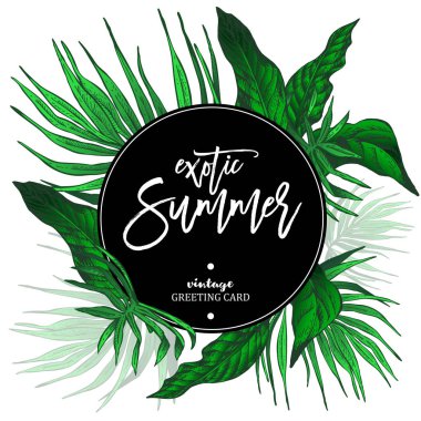 Tropikal yaprak egzotik illüstrasyon vektör
