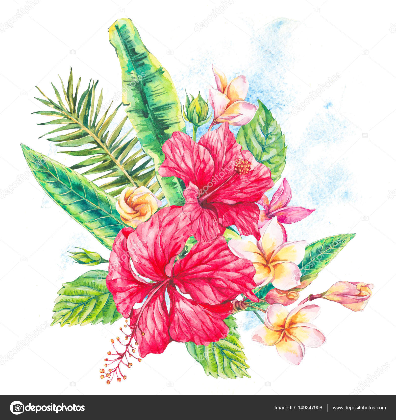 Tarjeta de felicitación tropical floral vintage acuarela Ilustración de  stock #149347908 de ©Depiano, image size:1600x1700