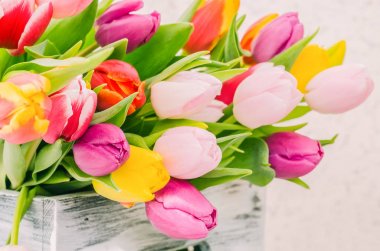 Renkli bahar Lale kutusunda