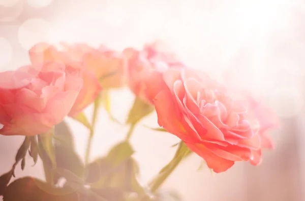 Ramo astratto di rose rosa — Foto Stock