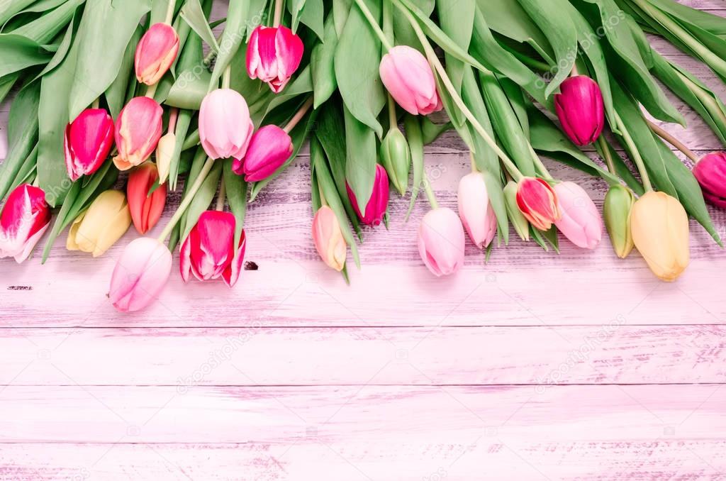 Wood background with spring colorful tulips