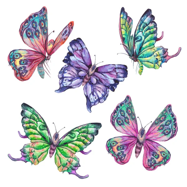 Aquarela conjunto de borboletas coloridas vintage — Fotografia de Stock