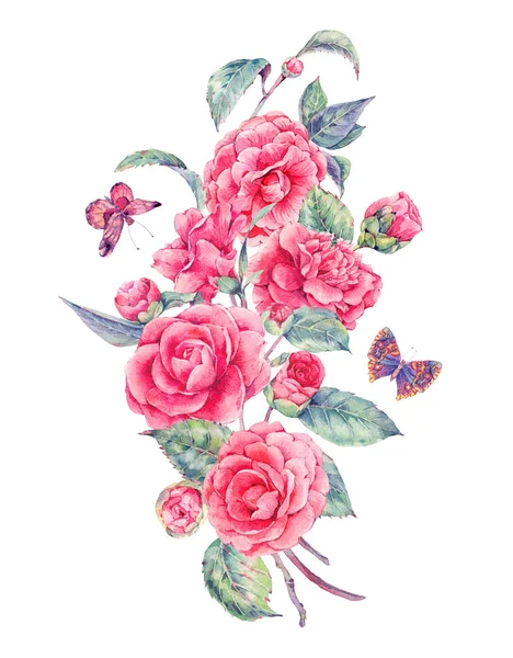 핑크 카멜리아와 빈티지 수채화 정원 꽃 — 스톡 사진