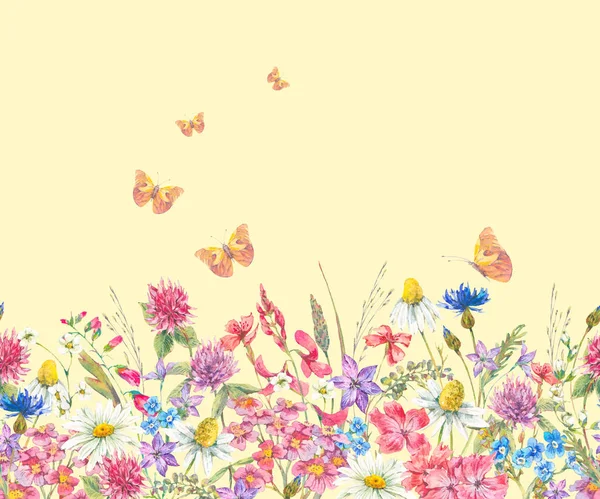 Watercolor seamless border with wildflowers — Stock Photo, Image