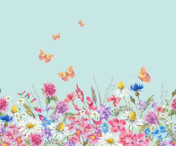 Watercolor seamless border with wildflowers — Stock Photo, Image