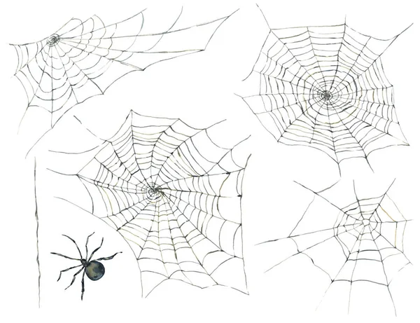 Halloween naadloze patroon met zwarte spin en web — Stockfoto