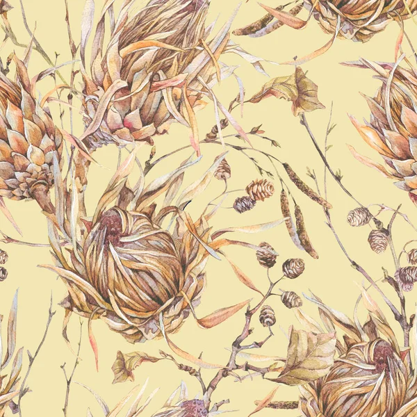 Seamles パターン、プロテア、野生の花の花の水彩画ボタニカル — ストック写真
