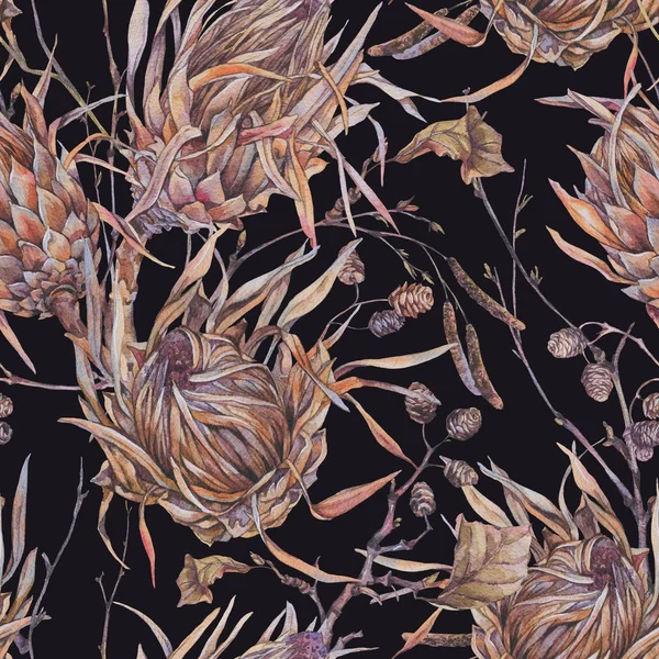 Seamles パターン、プロテア、野生の花の花の水彩画ボタニカル — ストック写真
