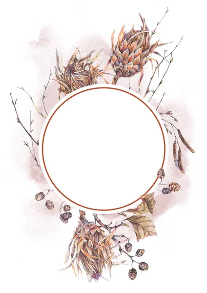 Aquarel botanische ronde frame, protea bloemen — Stockfoto