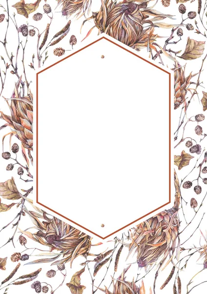 Aquarel botanische frame, protea bloemen — Stockfoto