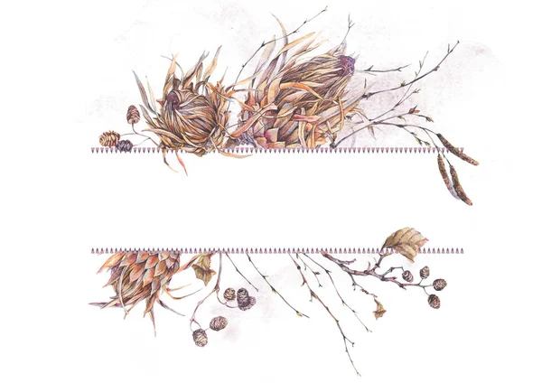 Акварельна ботанічна рамка, Квіти протеа — стокове фото