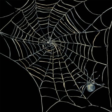 Siyah örümcek ve web Cadılar Bayramı tebrik kartı.