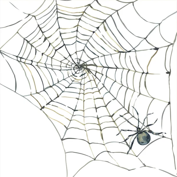 Halloween cartão de saudação com aranha preta e web . — Vetor de Stock