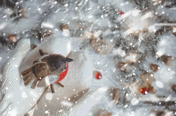Erntehelfer halten kleinen dekorativen Vogel — Stockfoto