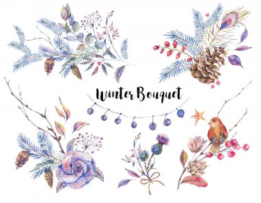 Suluboya vintage doğal öğeleri kümesi