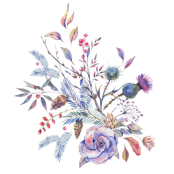 Aquarel vintage rozen, distels, wilde bloemen — Stockfoto