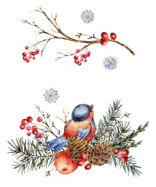 Suluboya Noel. Köknar dallarının doğal tebrik kartı, kırmızı. 