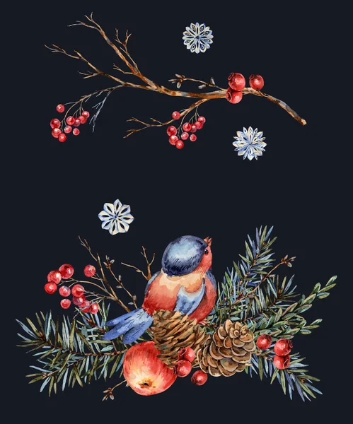 Carte de voeux naturelle de Noël aquarelle de branches de sapin, rouge — Photo