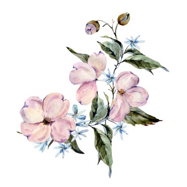 Yumuşak suluboya pembe ve açık mavi çiçekler, dallar, yapraklar, bu