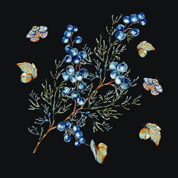 Waterkleur bosblauwe bessen wenskaart, mot en sparren beha — Stockfoto