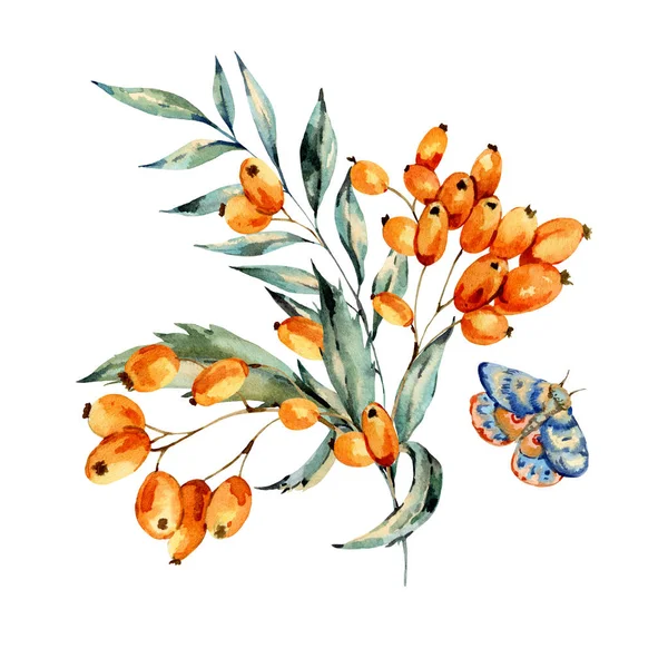 Watercolor bouquet with wtith autumn orange berries and blue mot — Stockfoto