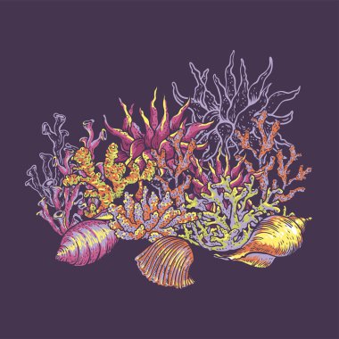 Sea life natural greeting card, underwater vector illustration, 